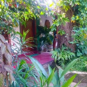  Habitación en casa particular Gangula Eco