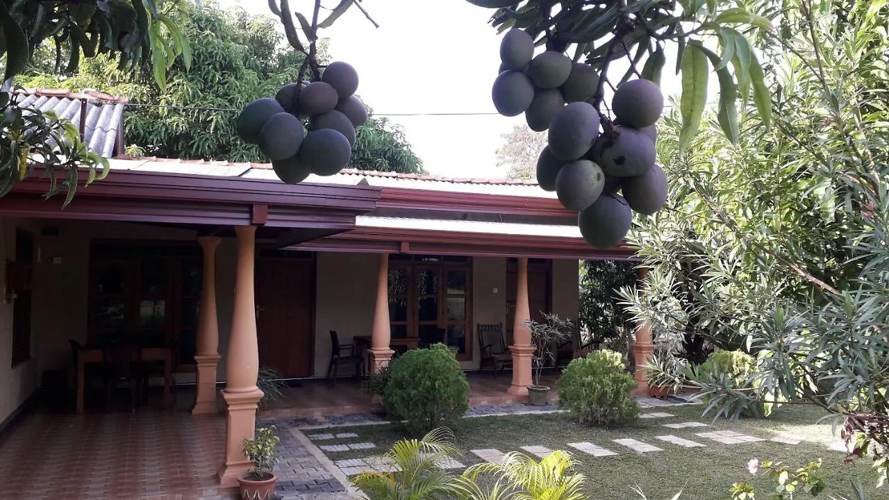 Shan Mango Homestay Sigiriya Sri Lanka