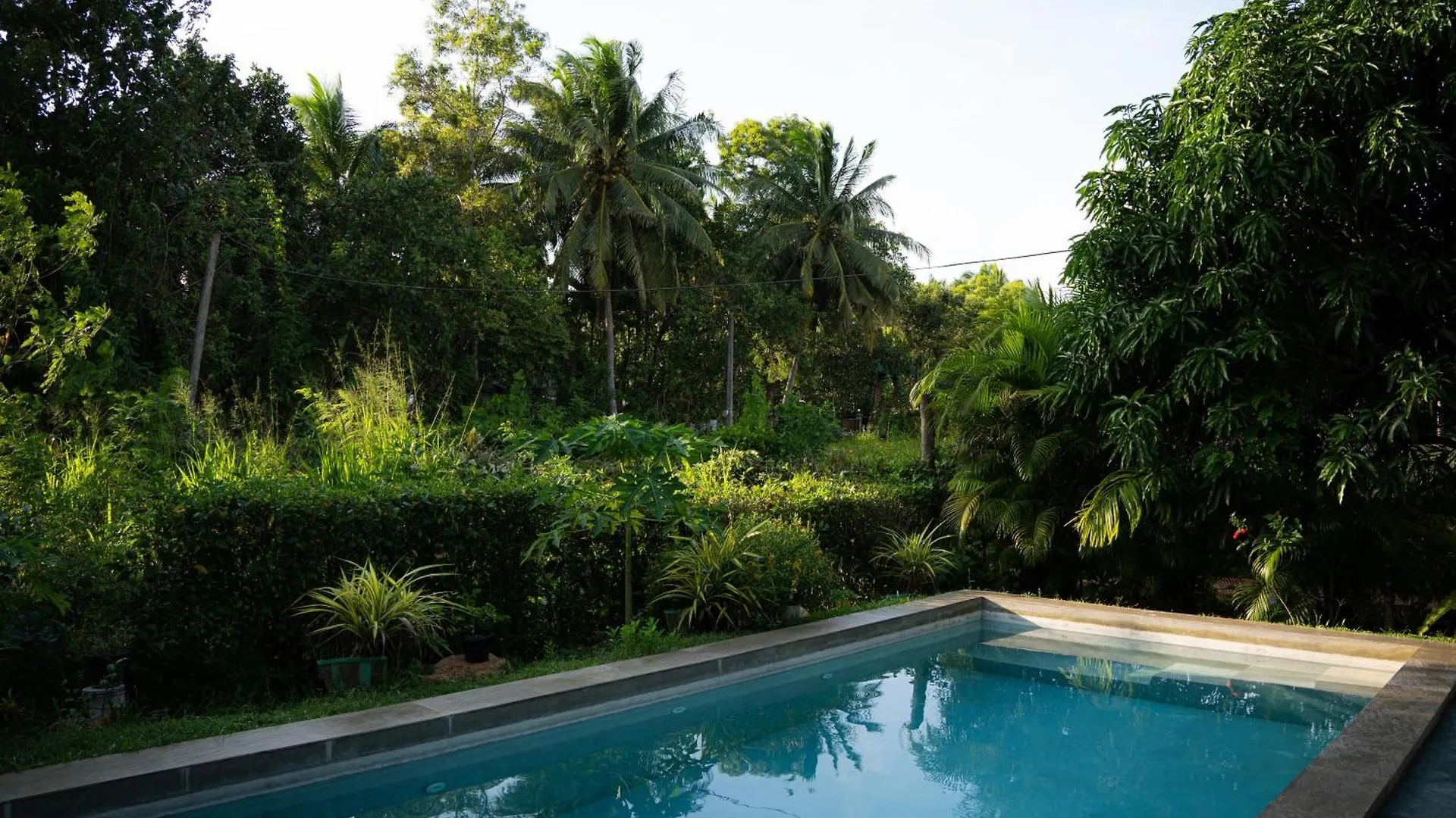 Shan Mango Homestay Sigiriya