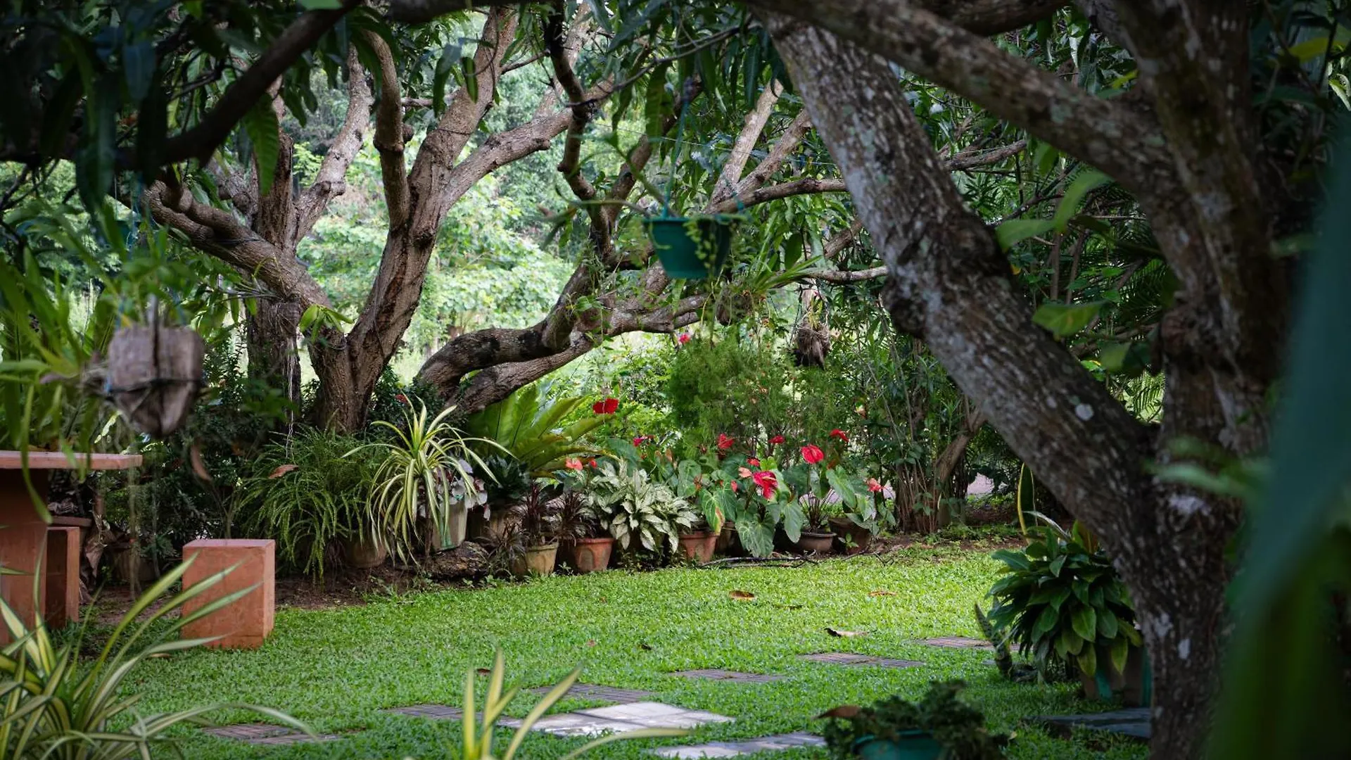 Shan Mango Homestay Sigiriya Sri Lanka
