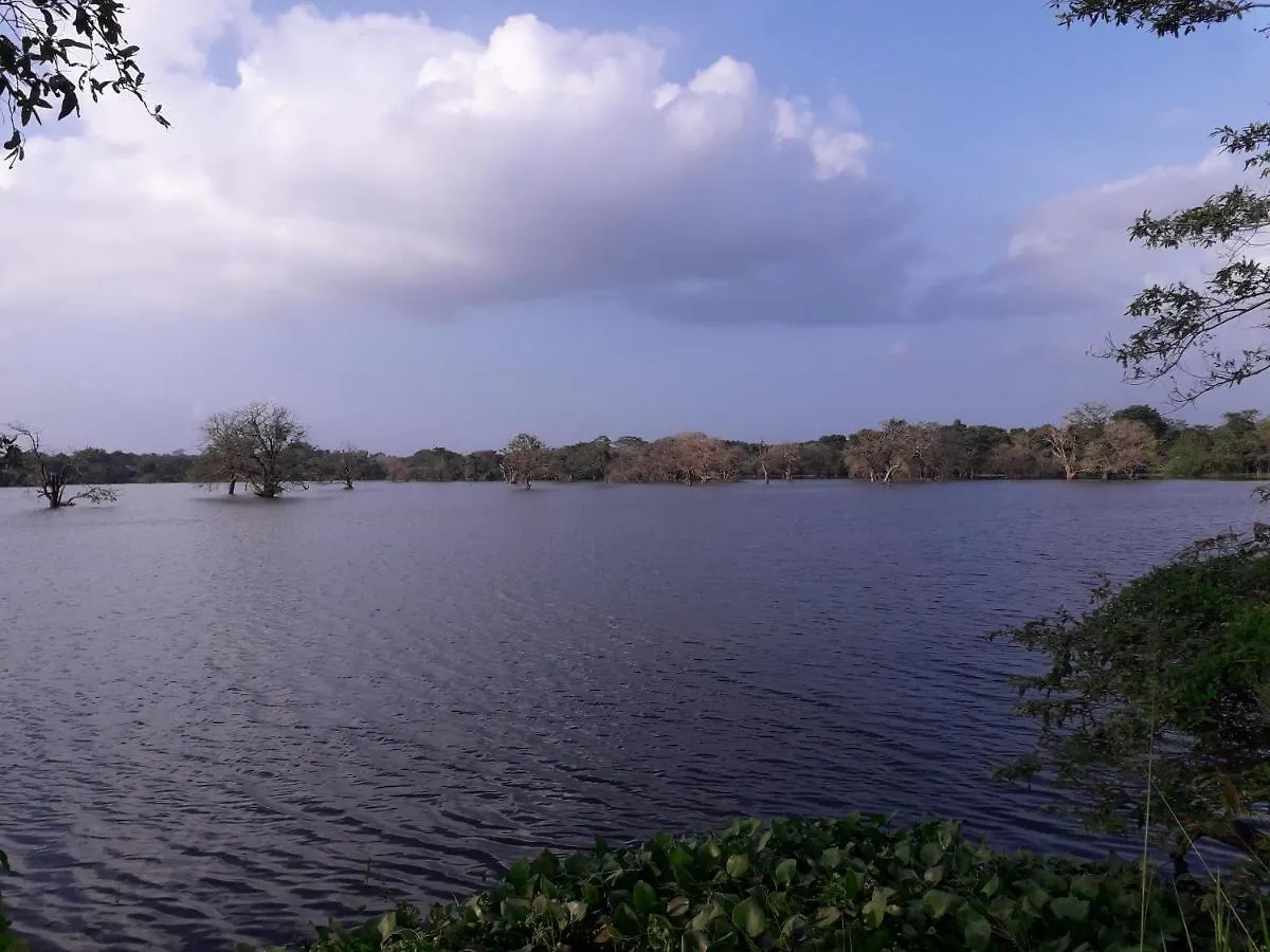 Shan Mango Homestay Sigiriya